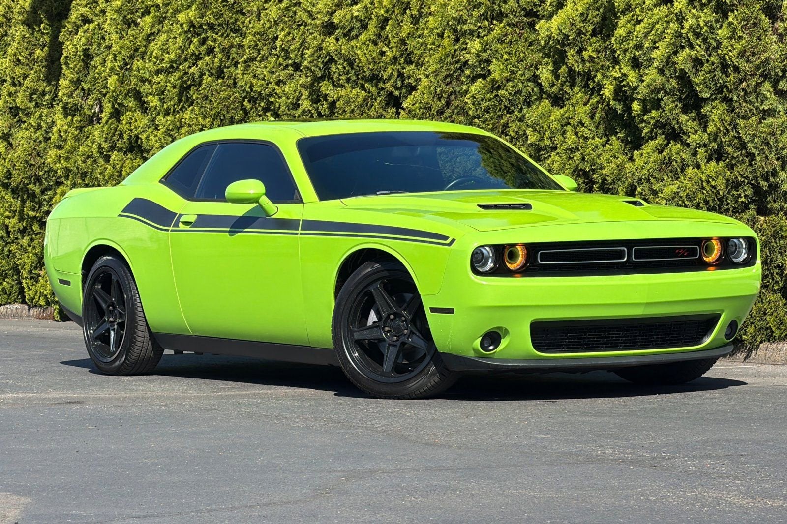 2015 Dodge Challenger R/T Plus