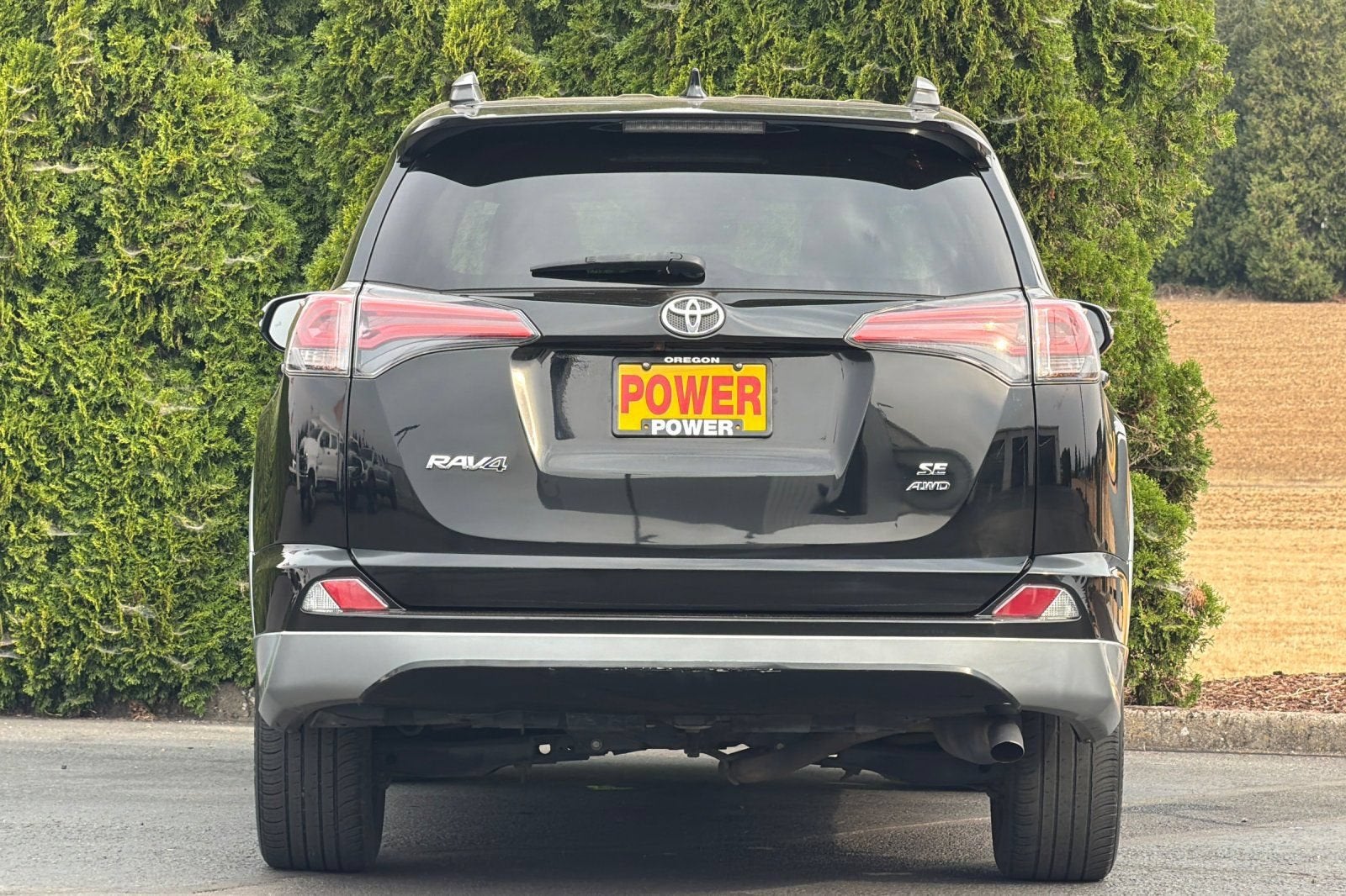 2018 Toyota RAV4 SE