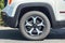 2020 Jeep Renegade Trailhawk