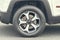 2020 Jeep Renegade Trailhawk
