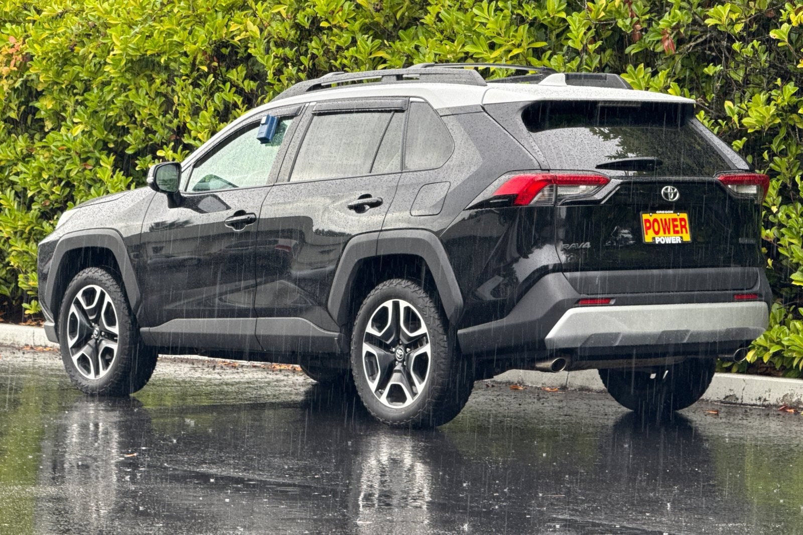2019 Toyota RAV4 Adventure