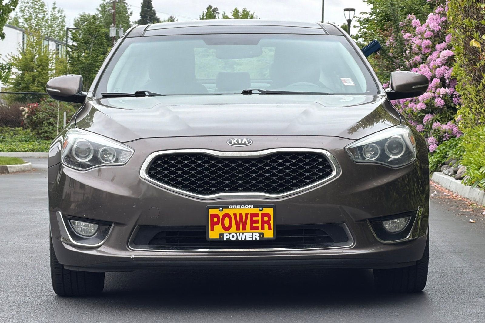 2015 Kia Cadenza Premium
